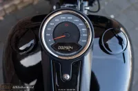 2020 Harley-Davidson FLFBS ANV Fat Boy 30th Anniversary 117