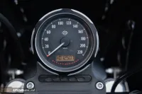 2020 Harley-Davidson XL1200NS Iron Sportster 1200