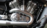 Harley Davidson VRSCF Muscle 2009 BR