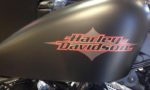 Harley-DavidsonSportster Seventy Two Black Denim