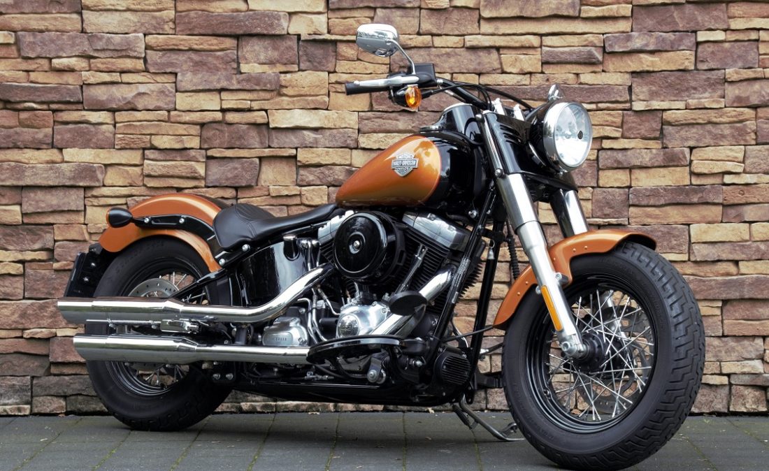 2015 Harley-Davidson FLS Softail Slim 103 RV