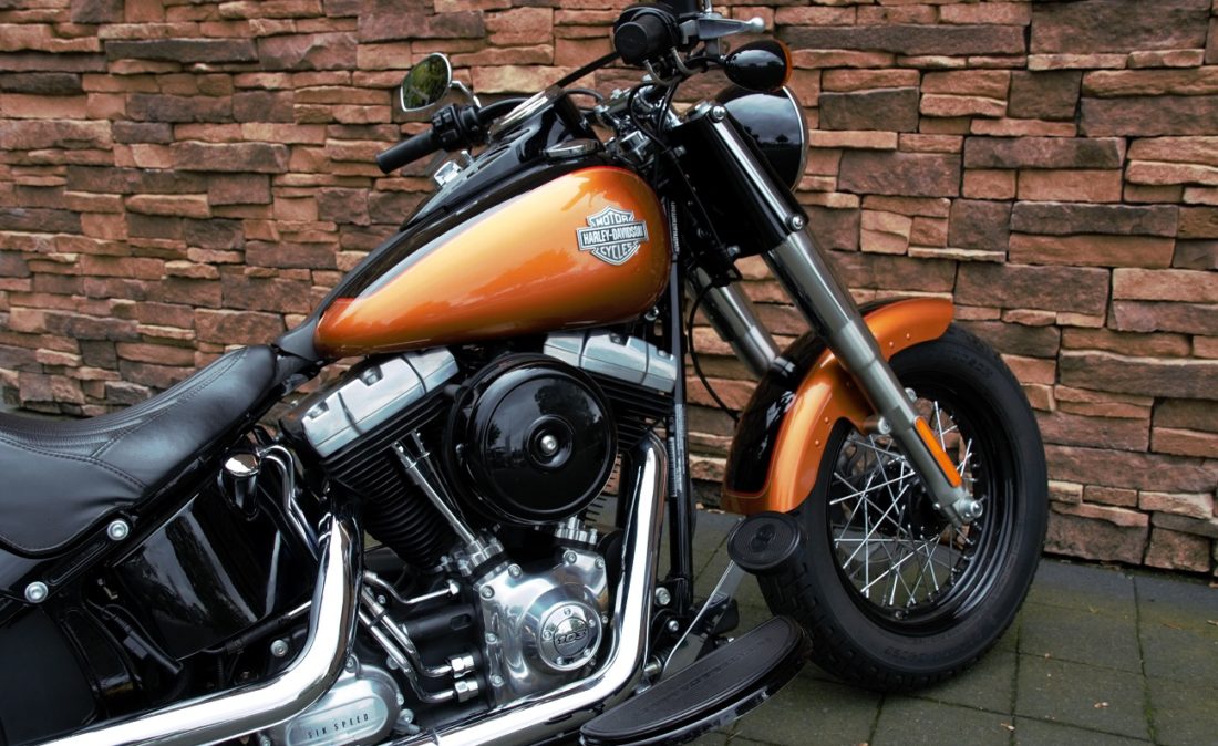 2015 Harley-Davidson FLS Softail Slim 103 Rz