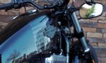 2016 Harley-Davidson XL 1200 X Forty Eight Sportster 48 XL1200X TRz1