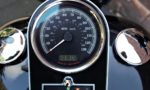 2009 Harley-Davidson FLSTFB Fat Boy Special T