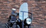 2009 Harley-Davidson FLSTFB Fat Boy Special WS