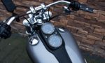 2017 Harley-Davidson FXDL Low Rider Dyna 103 ABS D