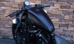 2017 Harley-Davidson XL883N Iron Sportster 883 LD