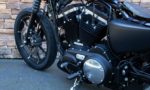 2017 Harley-Davidson XL883N Iron Sportster 883 LE