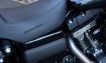 2017 Harley-Davidson FXDLS Low Rider S 110 ST