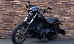 2017 Harley-Davidson FXDLS Low Rider S Dyna 110 Screamin Eagle LV