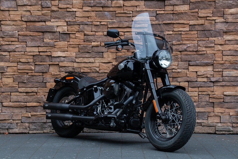 2016 Harley-Davidson FLSS Softail Slim S 110 RV