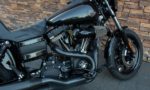 2016 Harley-Davidson FXDLS Dyna Low Rider S 110 RE