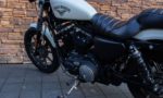 2017 Harley-Davidson XL883N Iron 883 LE