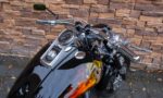 1999 Softail Custom RDZ