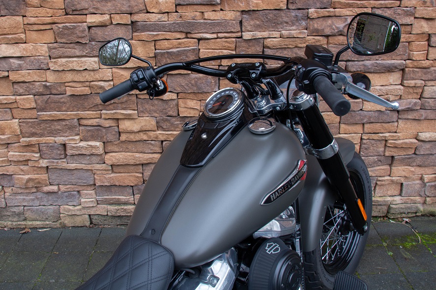 2018 Harley-Davidson FLSL Softail Slim 107 M8 Industrial Grey RD