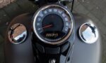 2018 Harley-Davidson FLSL Softail Slim 107 M8 T