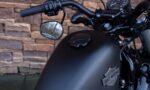2018 Harley-Davidson XL1200X Forty Eight 1200 Sportster 48 TP
