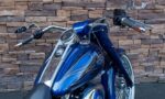 2005 Harley-Davidson FLSTCI Softail Special RD