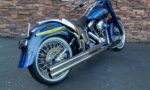 2005 Harley-Davidson FLSTCI Softail Special VH