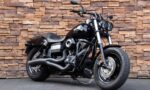 2009 Harley-Davidson FXDF Dyna Fat Bob RV