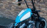 2018 Harley-Davidson XL1200X Forty Eight Sportster 1200 RTZ