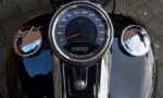 2021 Harley-Davidson FLSB Sport Glide Softail 107 M8 T