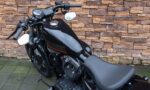 2012 Harley-Davidson XL1200X Forty Eight Sportster 1200 LT