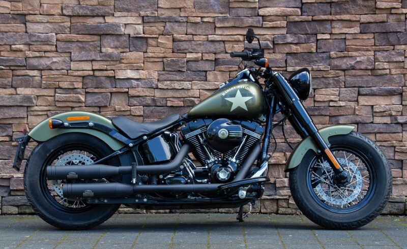 2016 Harley-Davidson FLSS Softail Slim S Screamin Eagle 110 Jekill Hide
