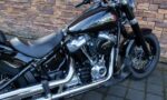 2020 Harley-Davidson FLSL Softail Slim 107 M8 RE