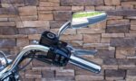 2014 Harley-Davidson FLSTN Softail Deluxe 103 morocco gold RHB