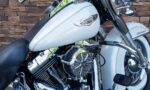 2014 Harley-Davidson FLSTN Softail Deluxe 103 morocco gold RTZ