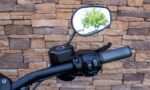 2017 Harley-Davidson XL883N Iron Sportster 883 Olive Gold Screamin Eagle RHB
