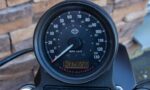 2017 Harley-Davidson XL883N Iron Sportster 883 Olive Gold Screamin Eagle T