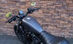 2019 Harley-Davidson XL883N Iron Sportster LD