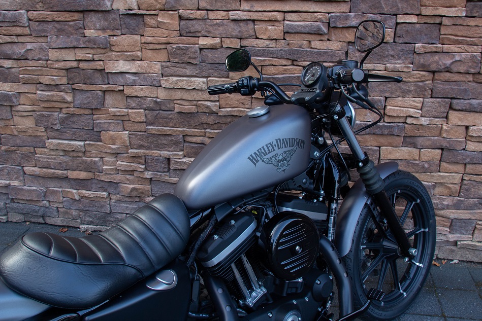 2019 Harley-Davidson XL883N Iron Sportster RT
