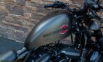 2020 Harley-Davidson XL1200X Forty Eight Sportster 1200 TZ